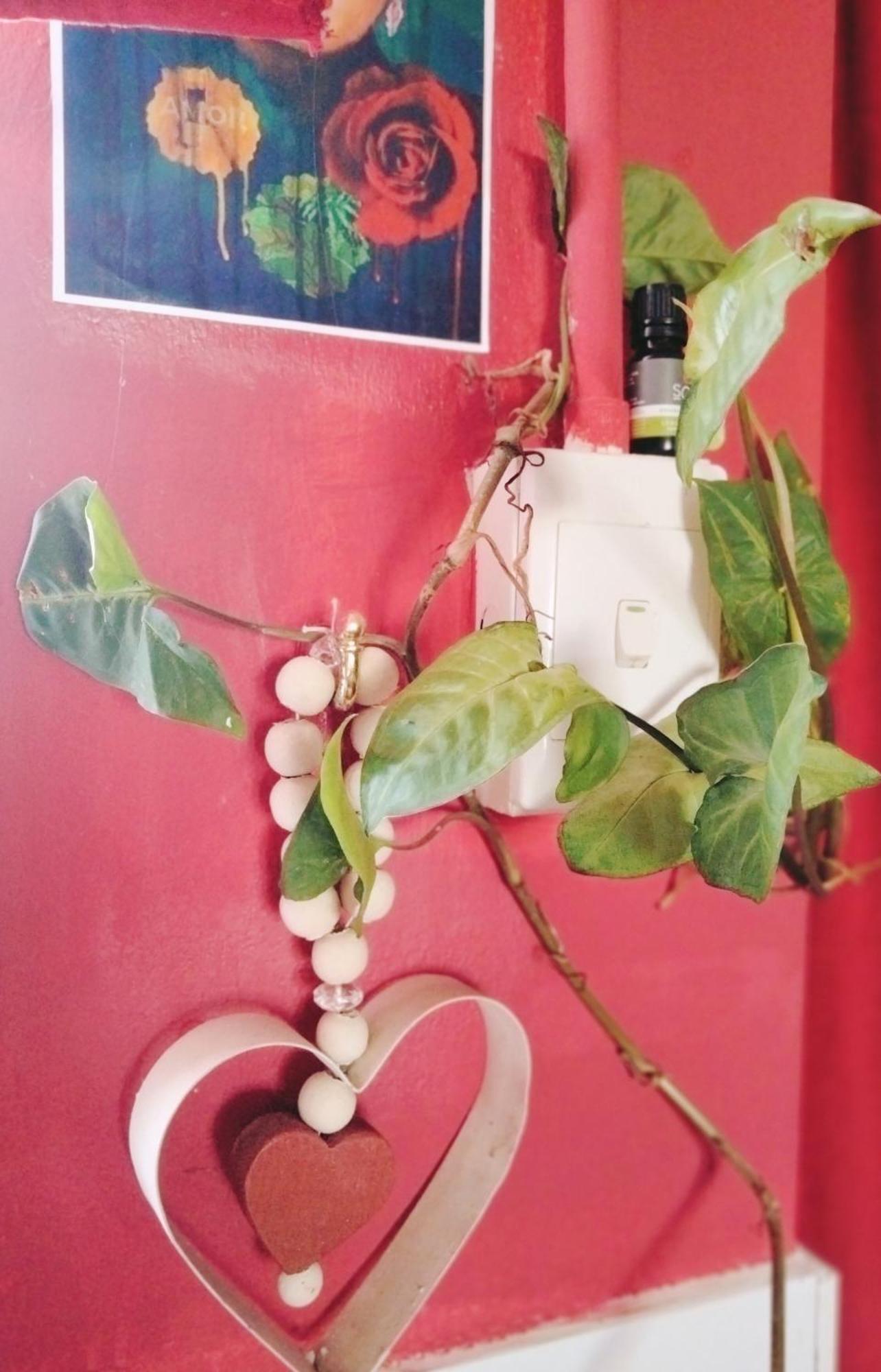 Addo'S Secret Backdoor Apartment พอร์ตเอลิซาเบธ ภายนอก รูปภาพ